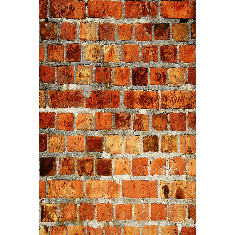 Vintage Brick Wall Grungy Phot - огляд і ціна Baby Products Photos
