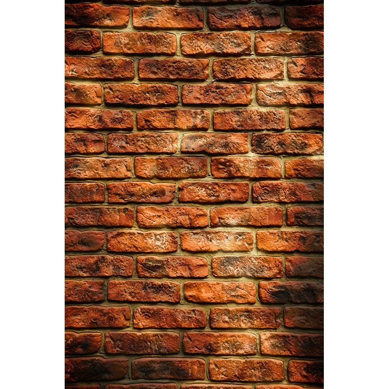 Vintage Brick Wall Grungy Phot - огляд і ціна Baby Products Photos